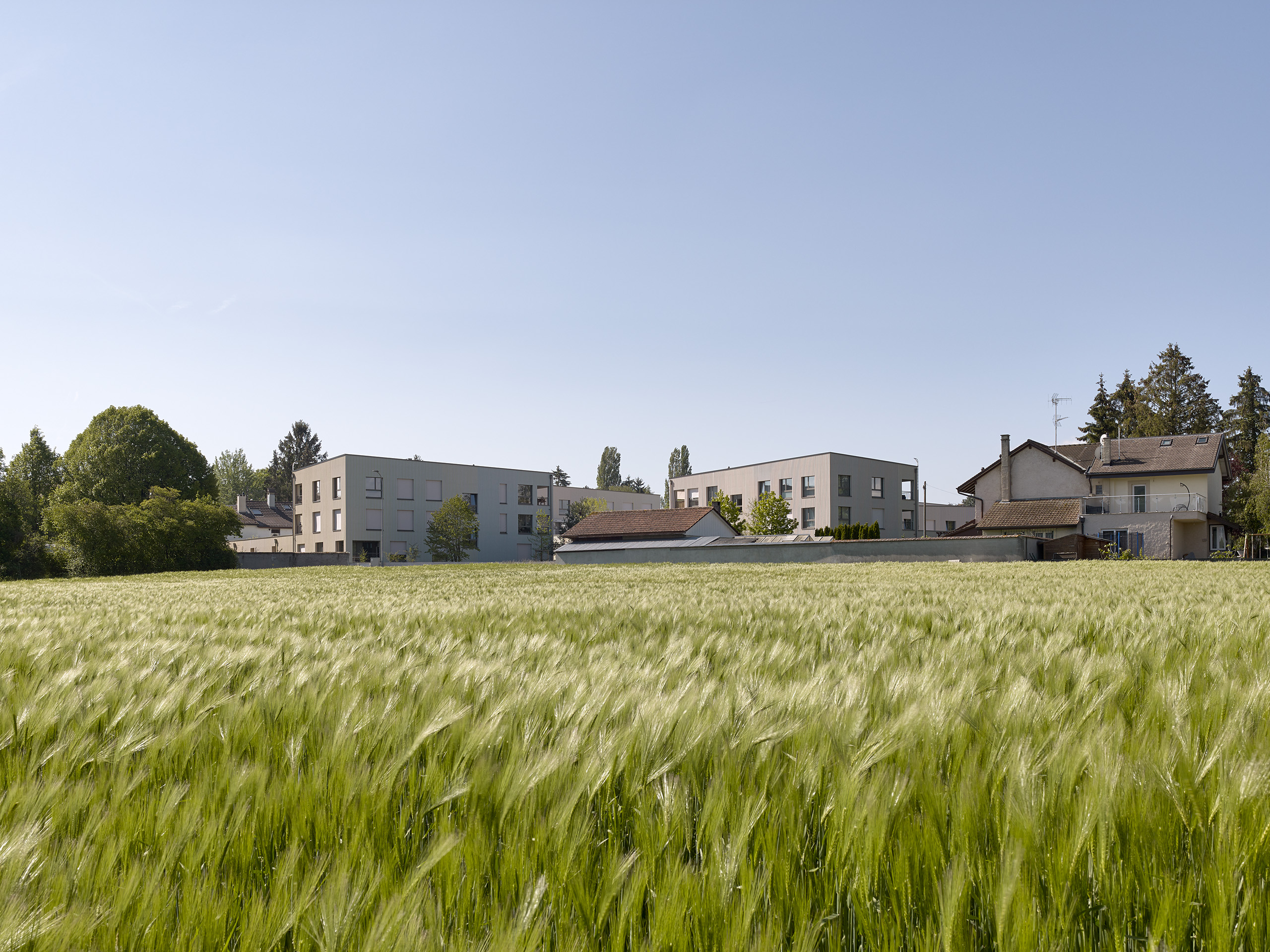 E18673 Alpa 088701 SCREEN